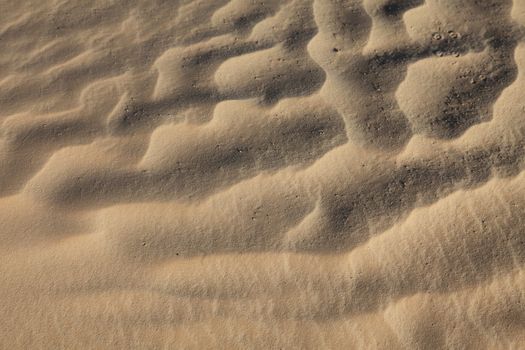 Wind textures on sand in Sahara