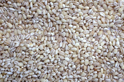 Pearl Barley