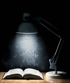 Lamp that illuminates an open book