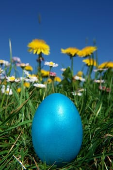 colorful Easter egg in the fresh  spring meadow