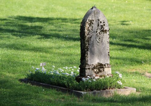 Old tombstone surrounded with green grass and covered with white small flowers