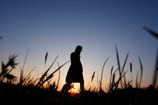 walking young man over field and sunset