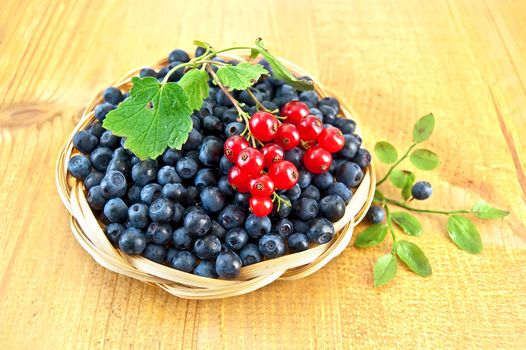 Blueberries with sprigs of red currants in a wicker basket, a sprig of blueberries with green leaves on a wooden board