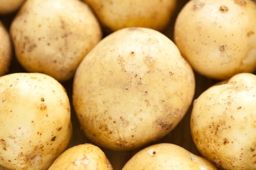 A lot of fresh raw potatoes, close-up