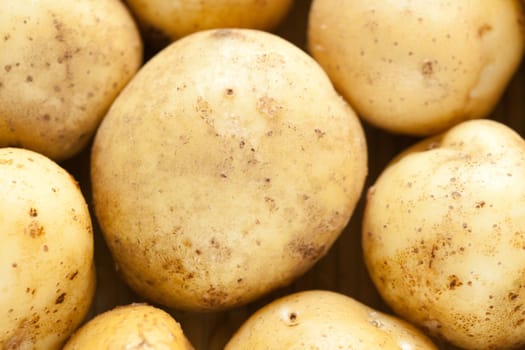 A lot of fresh raw potatoes, close-up