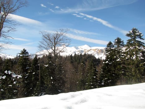 The main Caucasian ridge; rocks; a relief; a landscape; a hill; a panorama; high mountains; peaks; caucasus; top