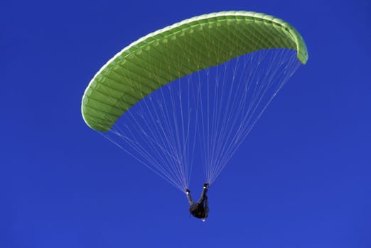 Paraglider