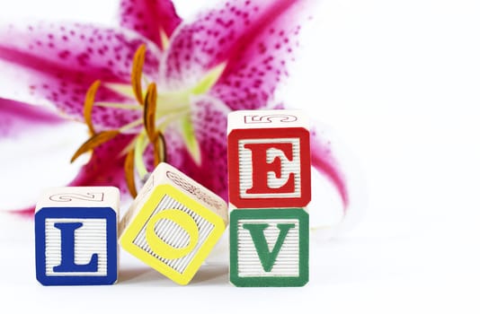 Alphabet blocks spell out LOVE.  Blocks in selective, sharp focus with unfocused lily flower behind.  White background and copy space; 