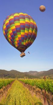 rising hot air balloon over Napa Valley California