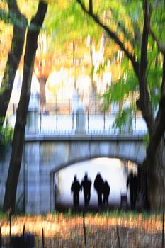 out of focus shot of a Bridge in Central Park, Manhattan, New York, New York, USA