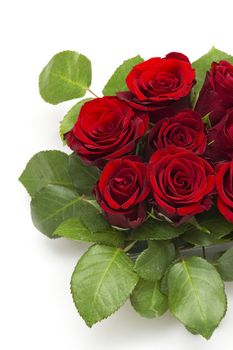 red roses