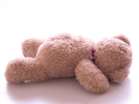 close up of fallen teddy bear