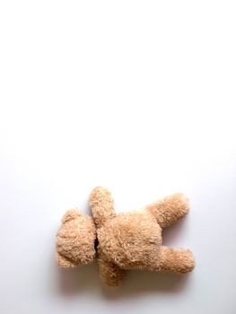 close up of fallen teddy bear