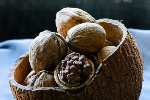 Walnuts in the shell of coconut. One is opened. Close-up.