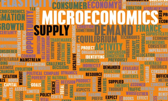 Microeconomics or Micro Economics as a Concept