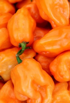 Small orange hot pepper chilli in a pile