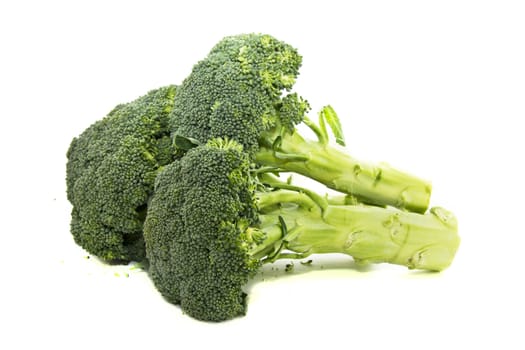 Fresh green broccoli bunch isolated on a white background