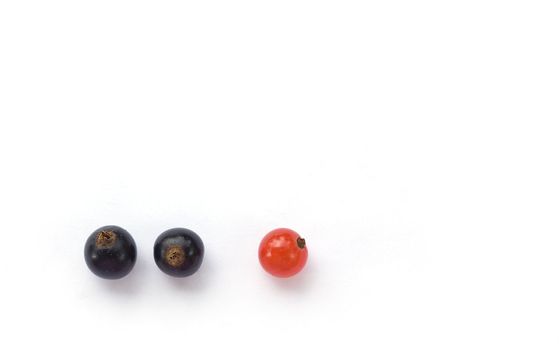 An illustration of a red berry standing out from two other black berries representing being unique, different and nonconforming. Can also show bullying. Space for text
. Space for text