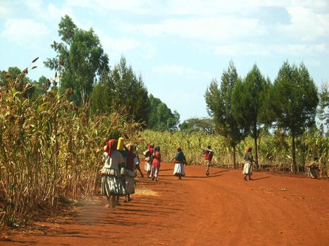 People coming back from a local market near Konso area in Ethiopia.