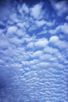 White puffy clouds