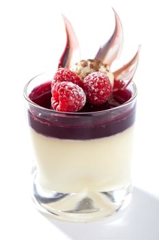 Elegant and fresh dessert; pannacotta with raspberries