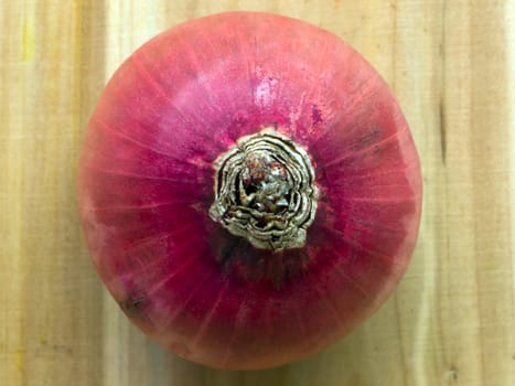 close up of a red onion