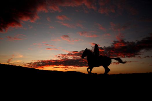 A horse riding galloping fast, on the backdrop of a sunset sky.