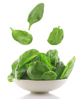 front view of fresh spinach in a white bowl 