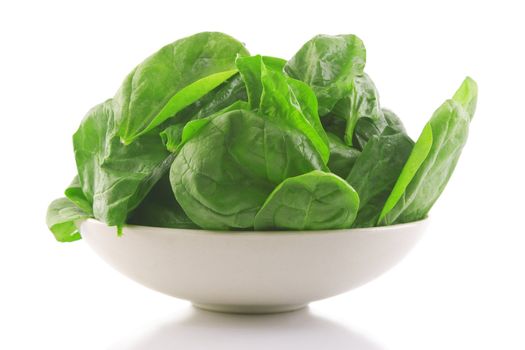 front view of fresh spinach in a white bowl 