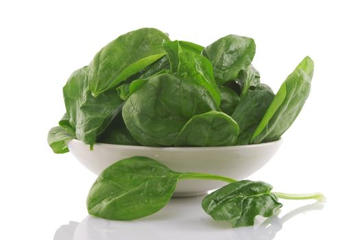 front view of fresh spinach in a white bowl 