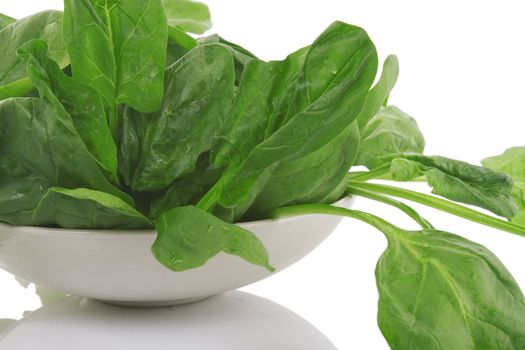 front view of fresh spinach in a white bowl, vegetarian food