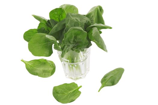 front view of fresh spinach in a glass on white background, vegetarian food