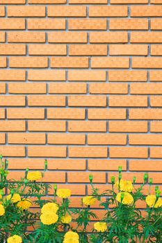 brick wall with yellow flower in the garden