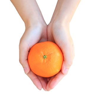 Hands holding orange isolated on white background