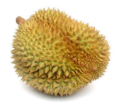 Durian isolated on white background