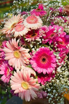 Bouquet of flowers with pink gerberas and white gypsophyla flowers