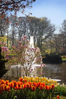 Blooming springflowers around a pond in park