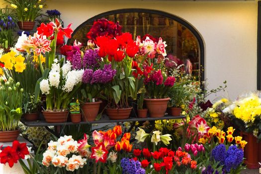 Lots of colorful spring flowers outside a florist shop