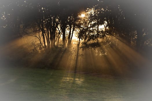 Sunrays through fog on early morning in fall