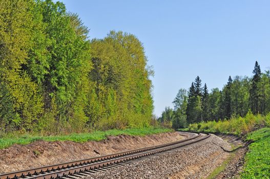 Curved railroad track in the forest