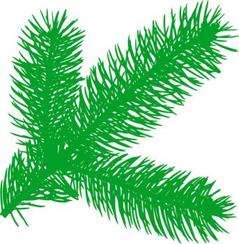 Vector illustration: Firtree green element 
