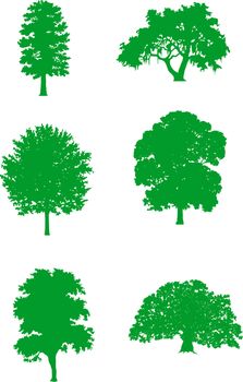 Abstract vector illustration: green trees