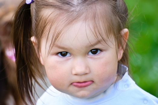 Baby girl on the meadow staring into the camera