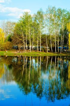 Landscape with trees reflected in pond