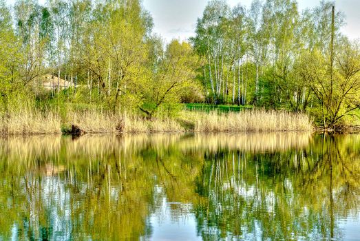 Landscape with trees reflected in pond. HDR image