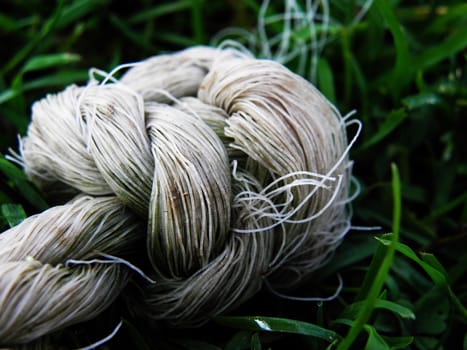 Rope photographed up close. On grass. In nature.