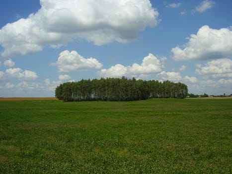 Kind on the plain formed as a result of activity of an ancient glacier. It is partially occupied by agricultural grounds, partially - wood sites.    