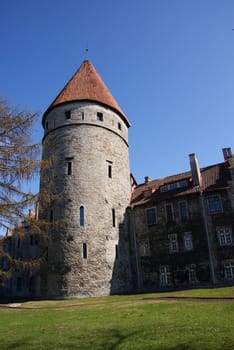 Tallinn, tower of old city   