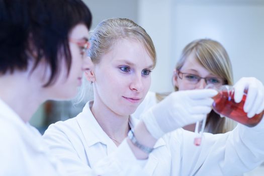 portrait of a female researcher carrying out research in a chemistry lab (color toned image; shallow DOF)