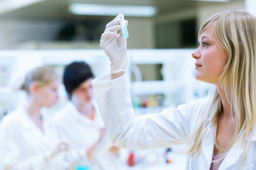 portrait of a female researcher carrying out research in a chemistry lab (color toned image; shallow DOF)